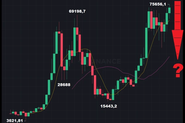 Bitcoin at its Peak: A New Wave of Adoption or the Start of a Correction?